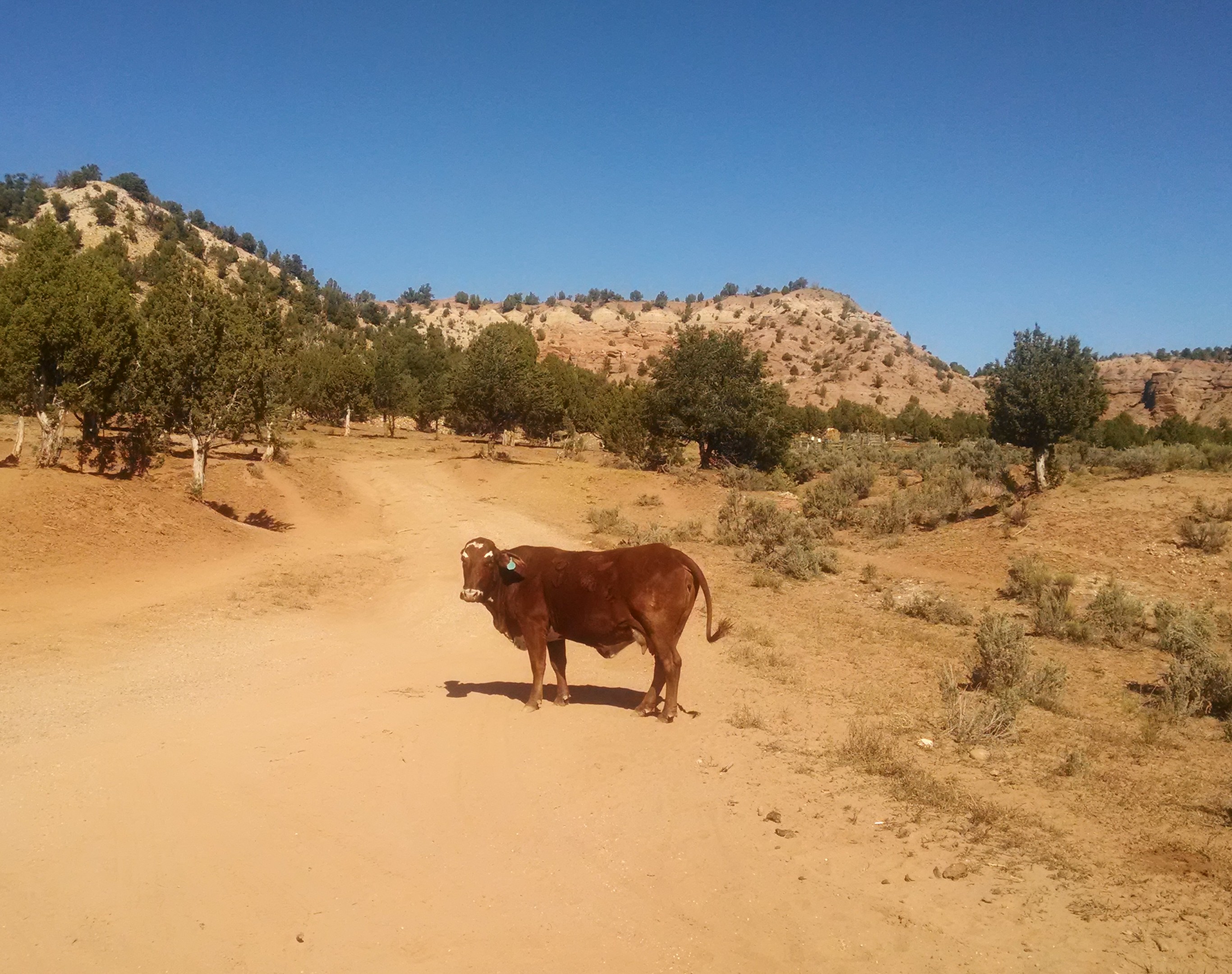 IMG_20141024_130136417-e1414638897155