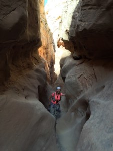 Little Wild Horse Canyon