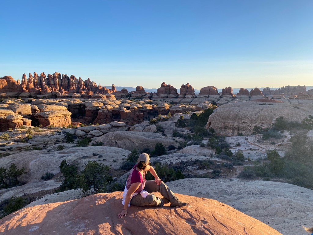The Needles in Canyonlands at dawn